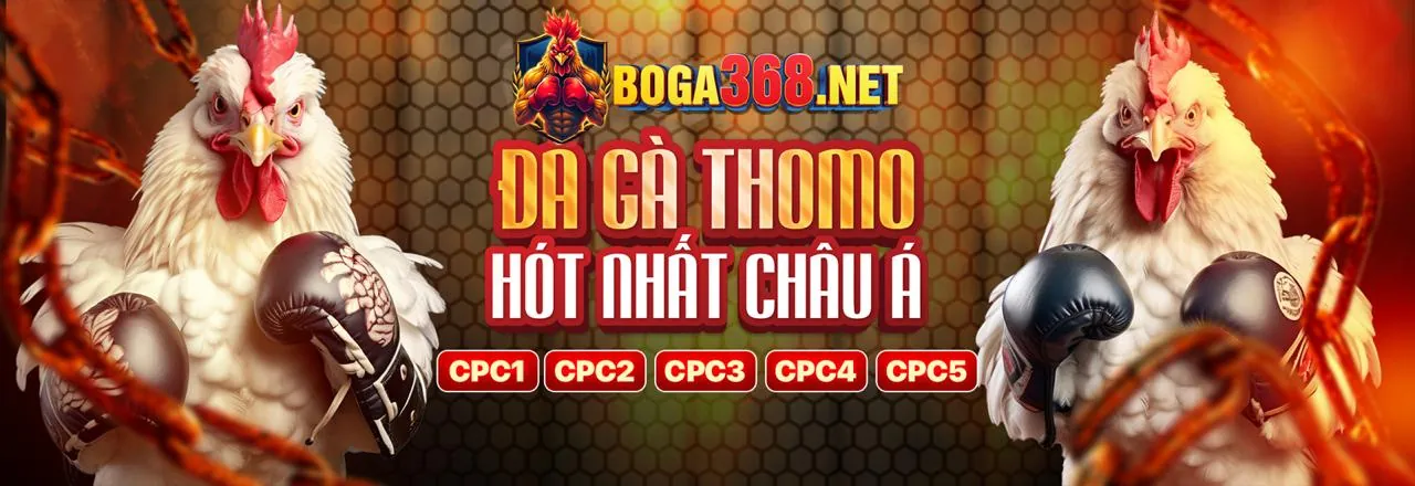 Banner kêu gọi hành động tt888 đăng nhập
