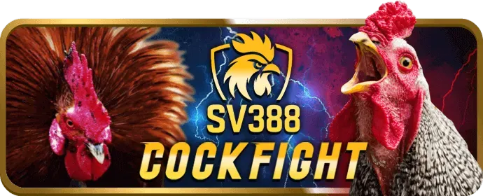 Cá cược thể thao tt888